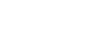 gouchev law logo